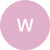Wiola