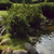 Garden Care