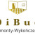 Piotr Żebrak, DiBud