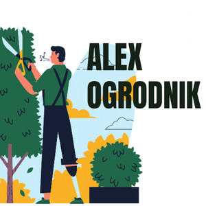 Alex Ogrodnik