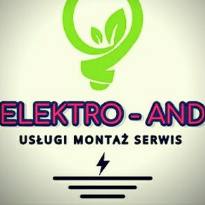 Elektro-And