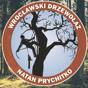 Wrocławski Drzewołaz