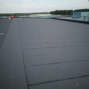 firma Usługowa Roof Professional